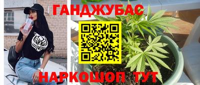 гашик Волжск